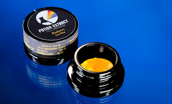 Potion Extract Live Wax